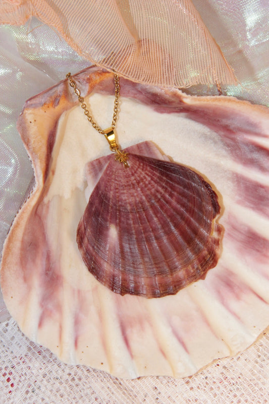 scallop shell necklace